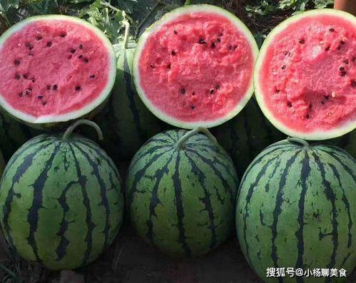 娱乐吃瓜酱不喜欢冬天,娱乐吃瓜酱偏爱暖阳时光
