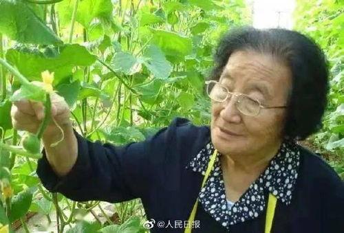 娱乐吃瓜酱不喜欢冬天,娱乐吃瓜酱偏爱暖阳时光