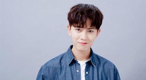 娱乐吃瓜蜀黍任嘉伦,娱乐吃瓜蜀黍的星光璀璨之路