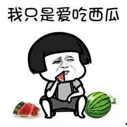 娱乐吃瓜单词有哪些,热门词汇大揭秘