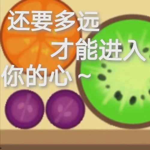 娱乐吃瓜单词有哪些,热门词汇大揭秘