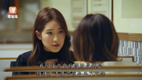 娱乐圈吃瓜小说,幕后风云，瓜田乱舞