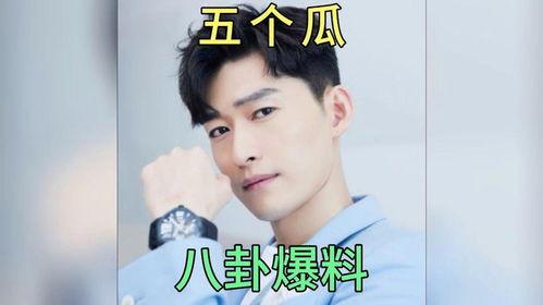 我在娱乐圈靠吃瓜爆红,娱乐圈爆红传奇