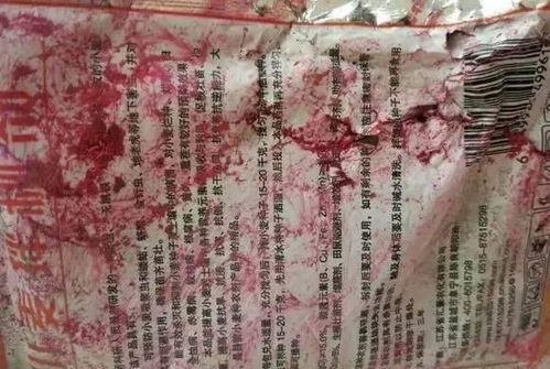 娱乐吃瓜酱二哈,揭秘娱乐圈那些不为人知的幕后故事