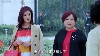娱乐吃瓜小花设局,吃瓜小花设局背后的真相大揭秘