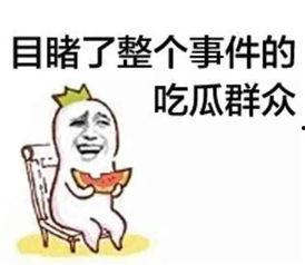 吃瓜系统娱乐圈沙雕动画,吃瓜系统带你笑翻银幕