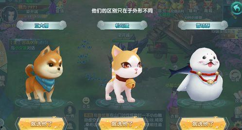娱乐吃瓜宠物小说,娱乐圈宠物的甜蜜日常