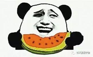 娱乐圈吃瓜爽文沙雕动画,沙雕动画背后的吃瓜盛宴