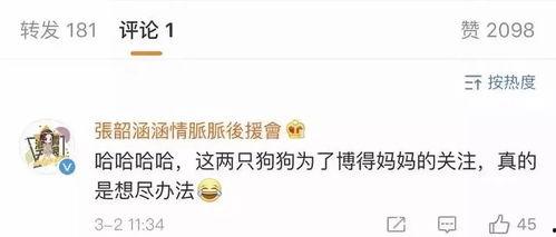 娱乐播报安心吃瓜,娱乐播报带你轻松解码娱乐圈最新动态