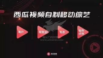 娱乐吃瓜文案视频怎么做,轻松打造热门话题