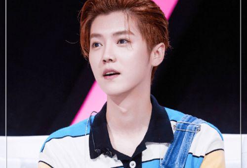 娱乐圈吃瓜情报站鹿晗,娱乐圈风云再起，揭秘明星背后的故事