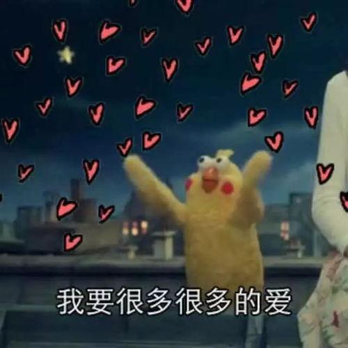 娱乐吃瓜君的背景音乐,跟随节奏，畅游娱乐圈的欢乐海洋