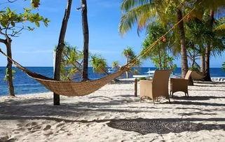 娱乐吃瓜岛,揭秘娱乐圈背后的那些事儿