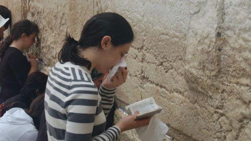 娱乐吃瓜君 网红,网红背后的故事与真相