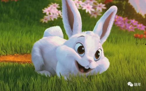 娱乐吃瓜兔子视频,揭秘娱乐圈幕后故事