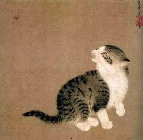 娱乐吃瓜猫捉鸟