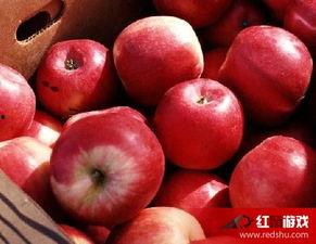 娱乐吃瓜酱苹果自带滤镜